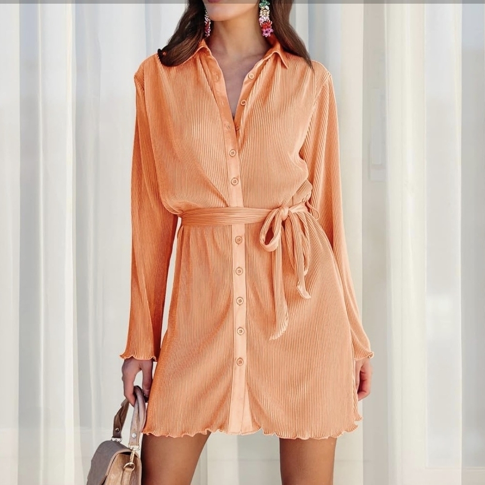 Neufigr Shirt Dress #1023 NWOT